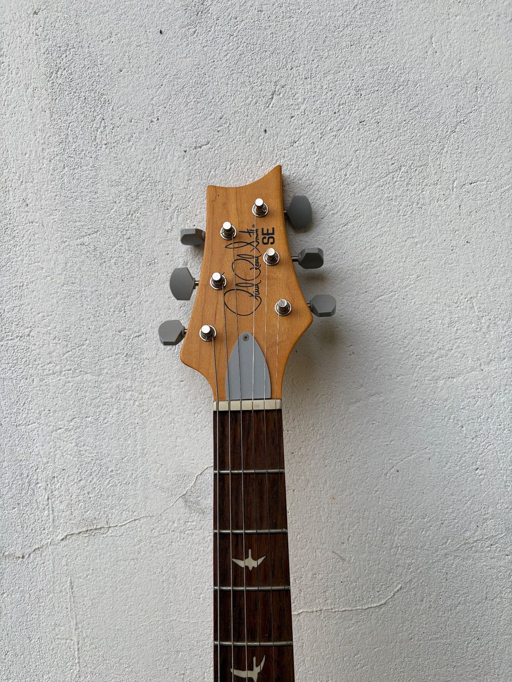 Strumenti musicali: E-Gitarre PRS SE Standard 24 Grün – Usato da Müntschemier venduto da R.e.b.e.c.c.a 1