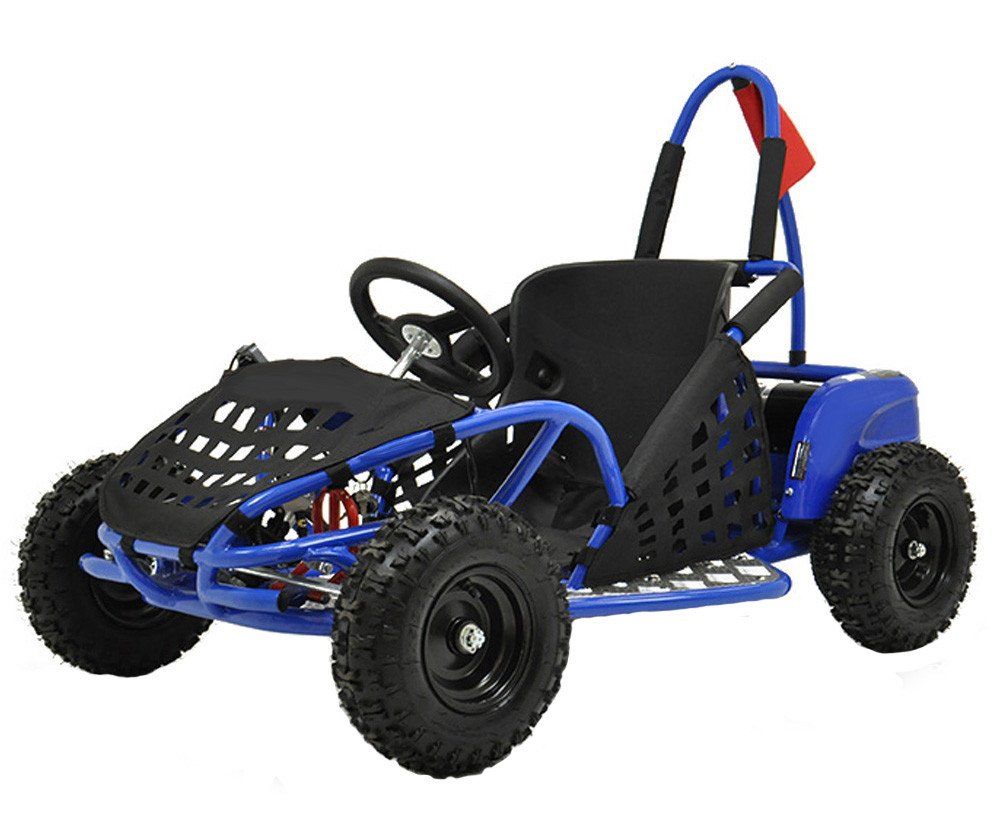 Altro in Giocattoli & Bricolage: Ladegerät – Mini Buggy ECO 1000 – Nuovo e nell'imballaggio originale da Fahrwangen venduto da ATV-Funware 2