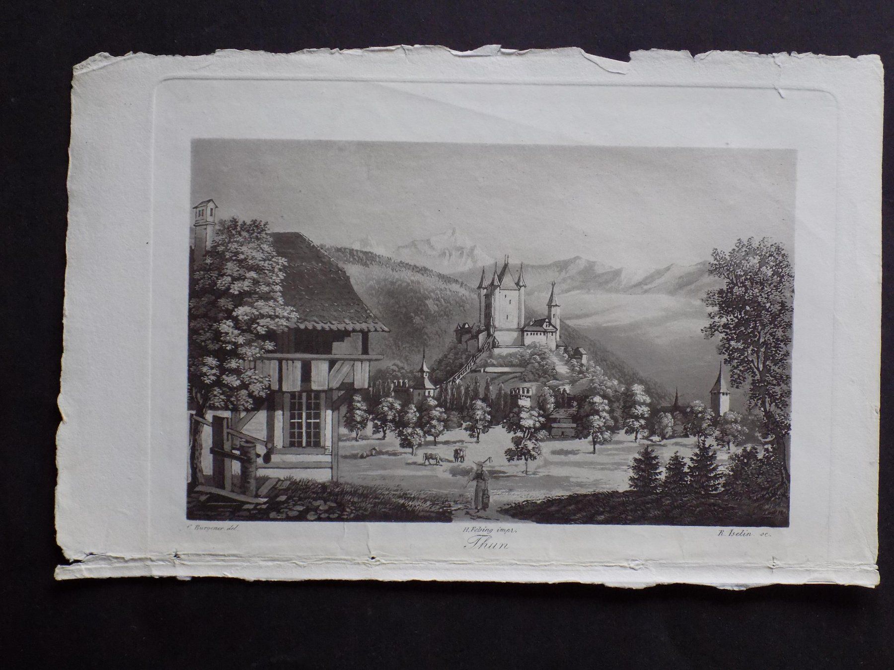 Incisioni: Thun Schloss – Usato da Risch venduto da Rischli15