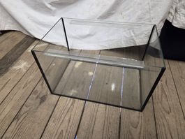mini Terrarium