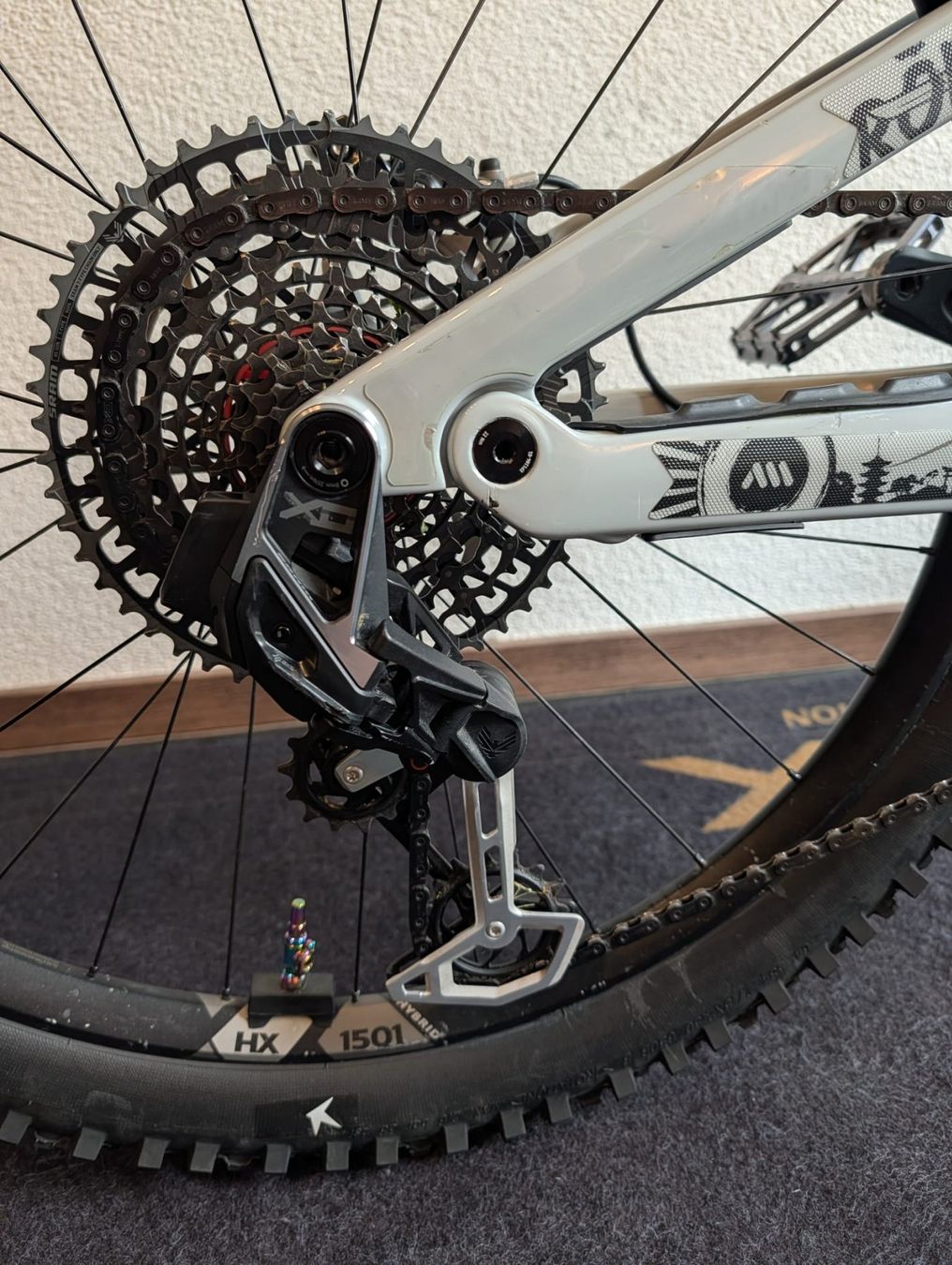 Canyon Biciclette: Canyon Strive On CFR LTD Enduro MTB EMTB – Usato da Ziefen venduto da OLDSCHOOL_MTB 7