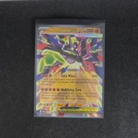 Mega Zygarde ex (POR 047)