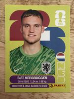 Panini NED 2