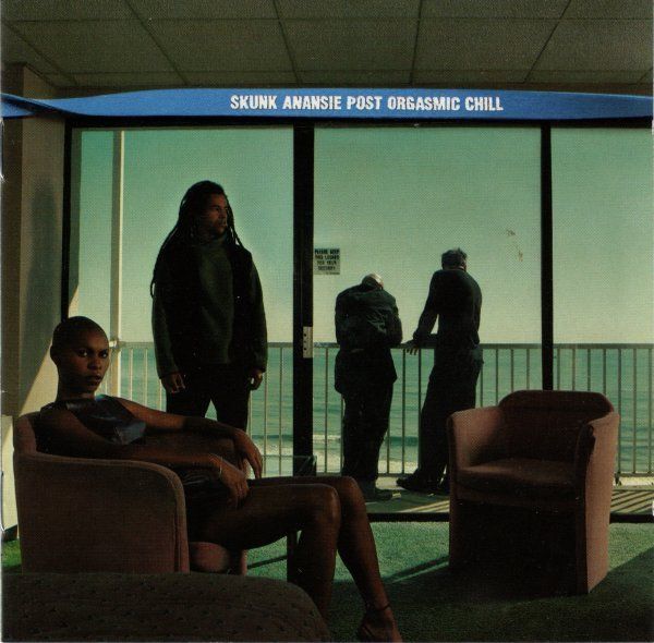 CD: Skunk Anansie: Orgasmic Chill CD – Nuovo (secondo la descrizione) da Steinhausen venduto da Vilivinili