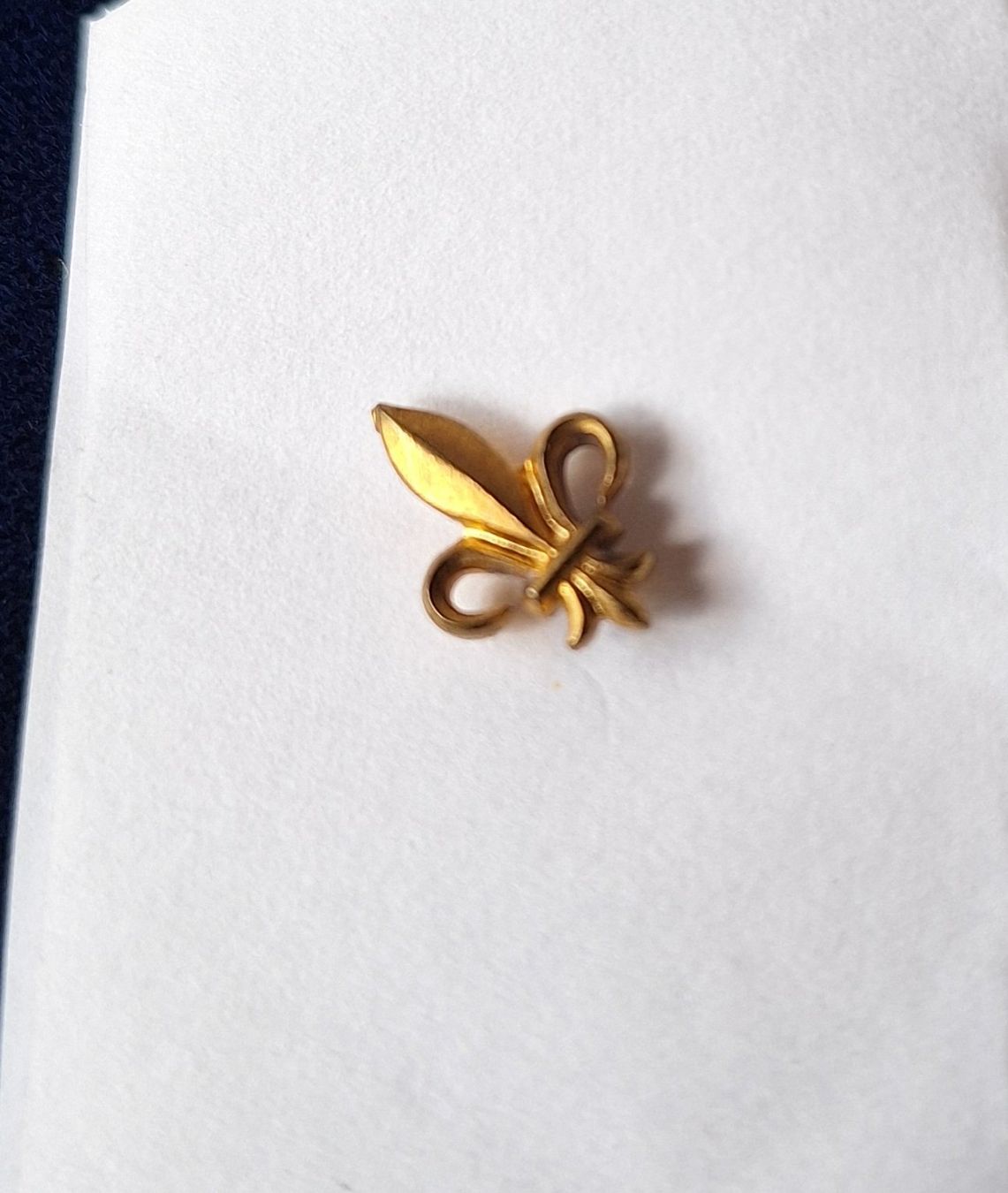 Placchette & Badge: Pin's Fleur de Lys – Usato da St-Triphon venduto da Jldr0