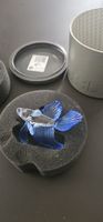 Schoene Deko: Swarovski Kristall Glas Fisch, Top Zustand OVP