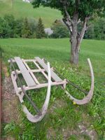 Luge