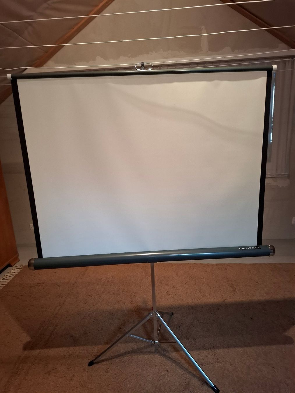 Autres décorations & accessoires: Projection Screen mit Stativ – D'occasion à Effretikon par kauli87