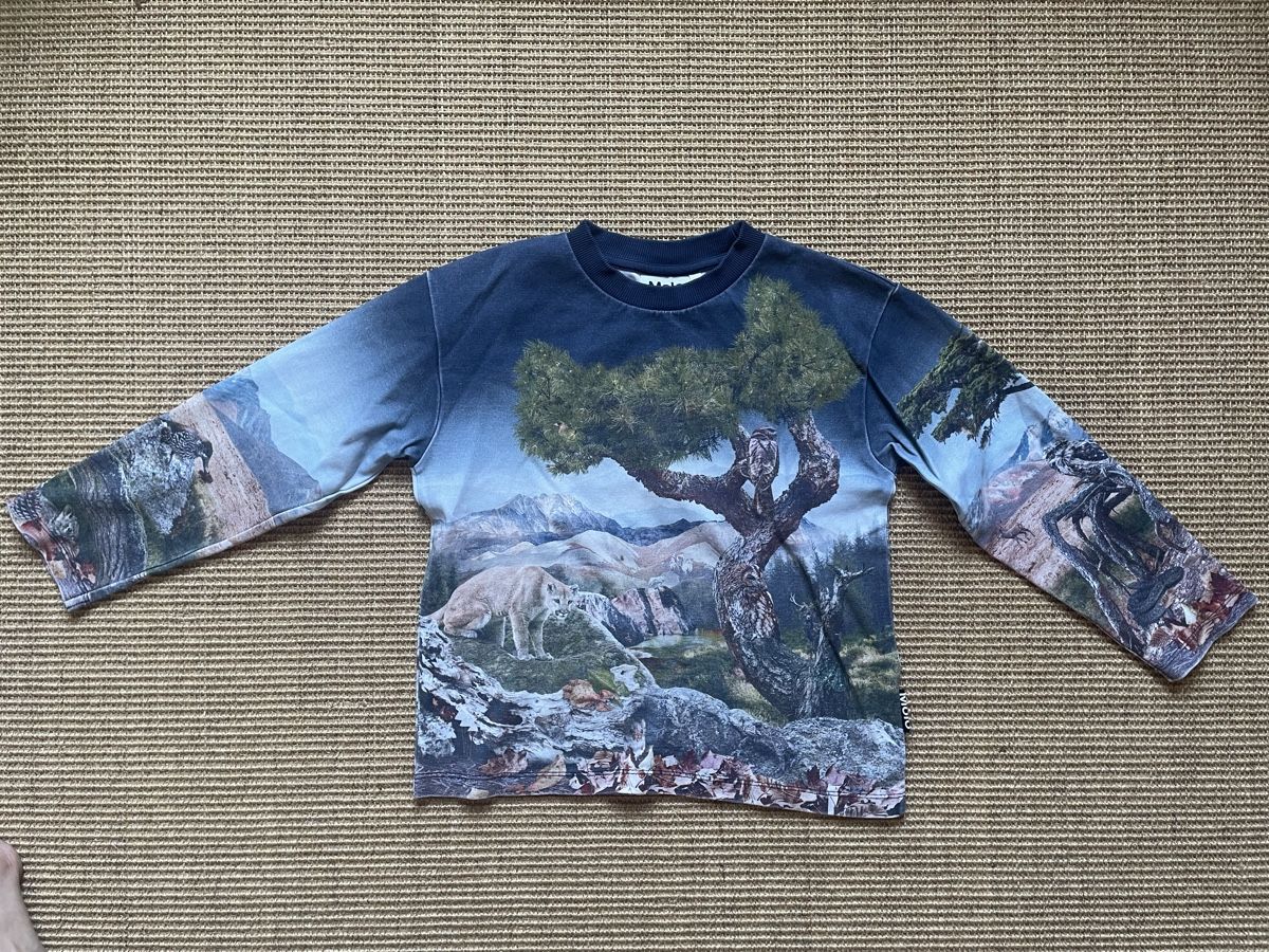 Molo Maglioni & Felpe: Molo Pullover Grösse 128 – Usato da Zürich venduto da EliseSchmitz
