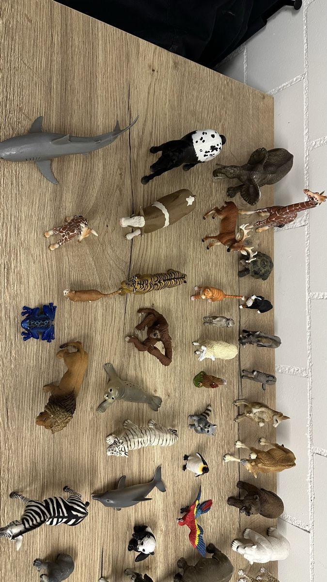 Schleich Statuette: Schleich Tiereset – Usato da Niederweningen venduto da Ro-so 3