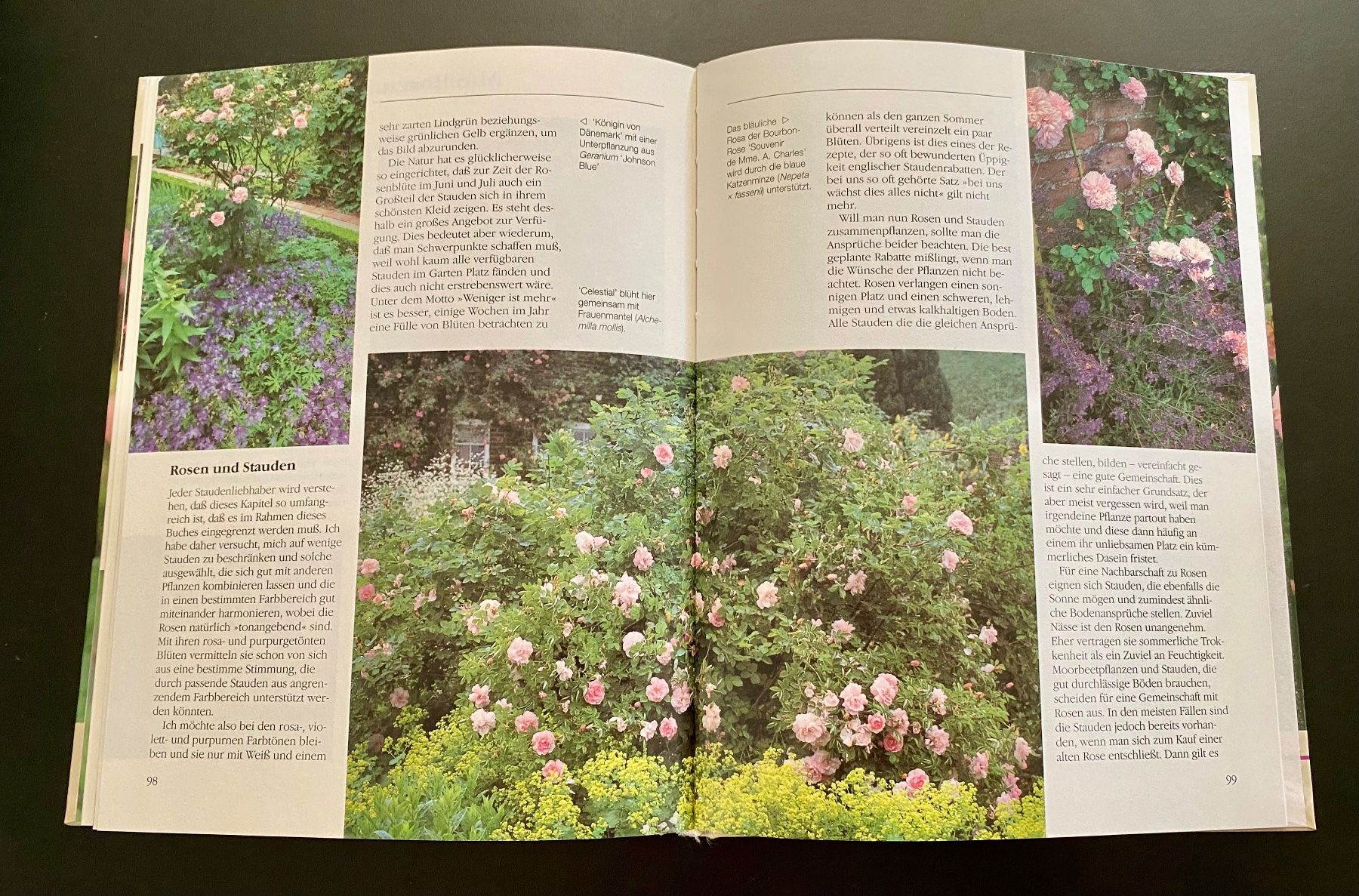 Livres: Vom Zauber der Alten Rosen – D'occasion à Nussbaumen AG par schuba2000 6