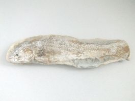 Mineralien Grosser Fisch