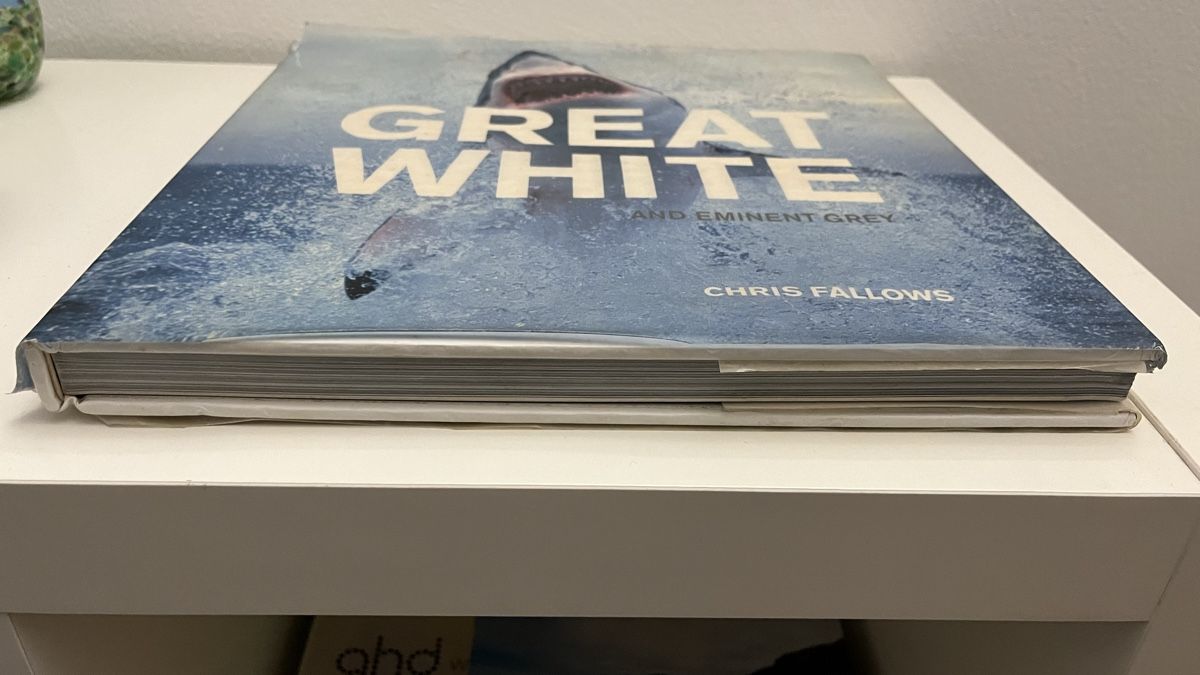 Bücher: Great White Shark – Gebraucht aus Wallisellen von S_lb
