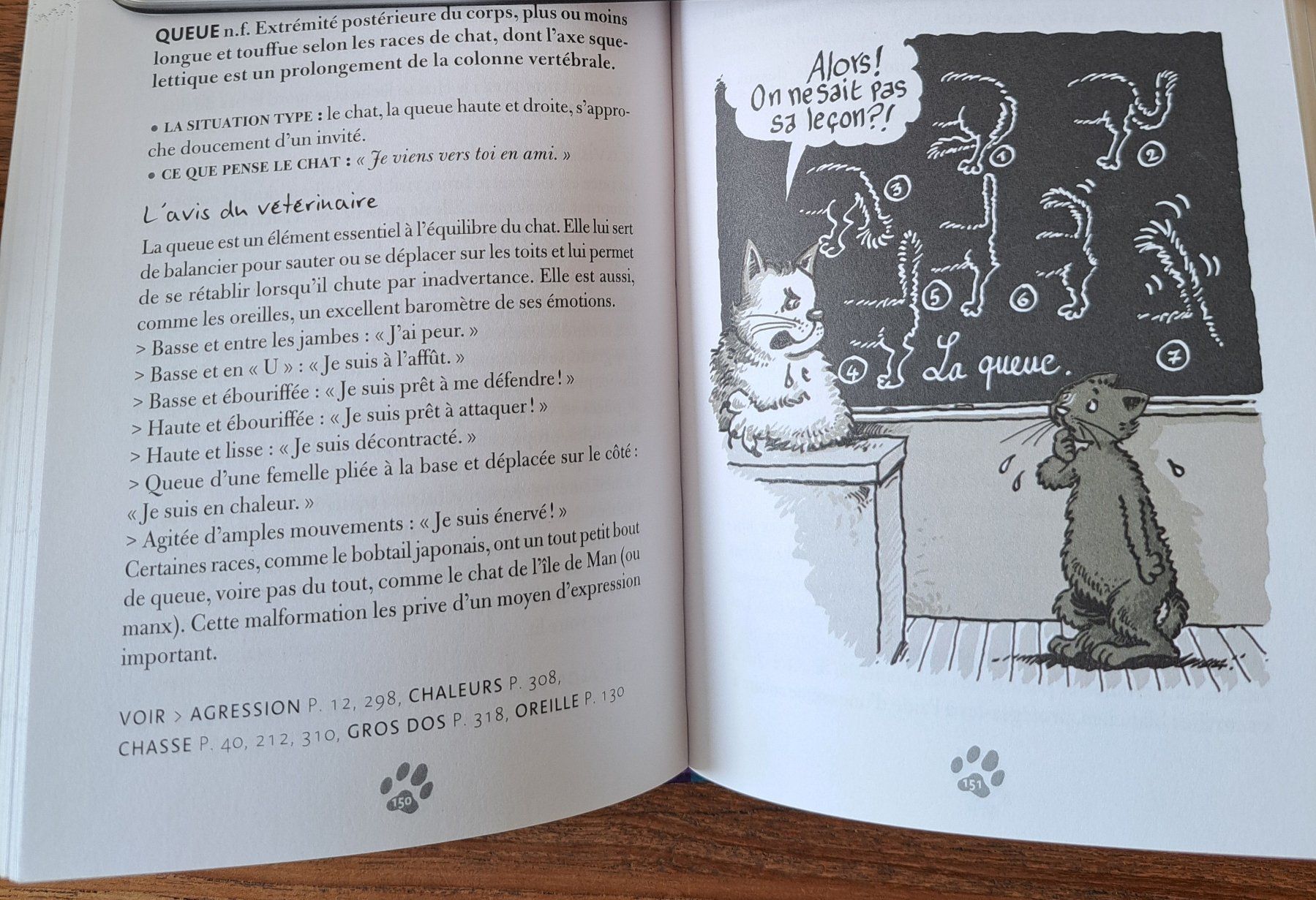 Bücher: Dictionnaire Français / Chat - Chat / Français – Gebraucht aus Biel/Bienne von ESOXMAN 2