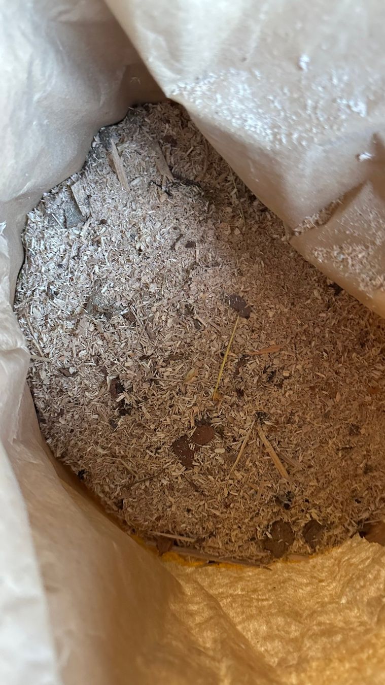 Articoli in legno: Sägemehl, trocken gelagert – Usato da Würenlos venduto da Sa_li 3