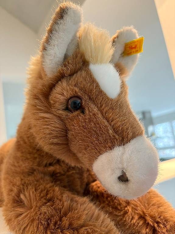 Steiff Spielzeuge: STEIFF Pony Pferd Fohlen Molly – Neu (gemäss Beschreibung) aus Egg b. Zürich von eve_h8pg 1