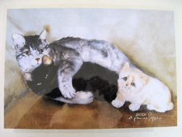 Tischset laminiert mit Katzen, Dédé Moser