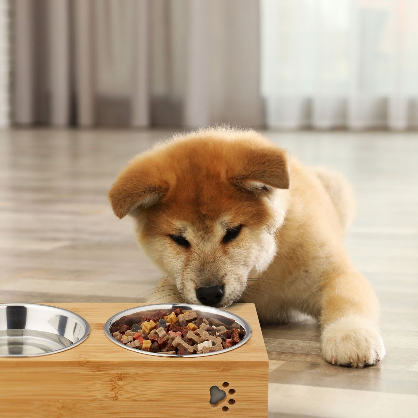 Ciotole: Doppelte Futterbar für Hunde – Nuovo e nell'imballaggio originale da Gerlafingen venduto da Tsuru 3