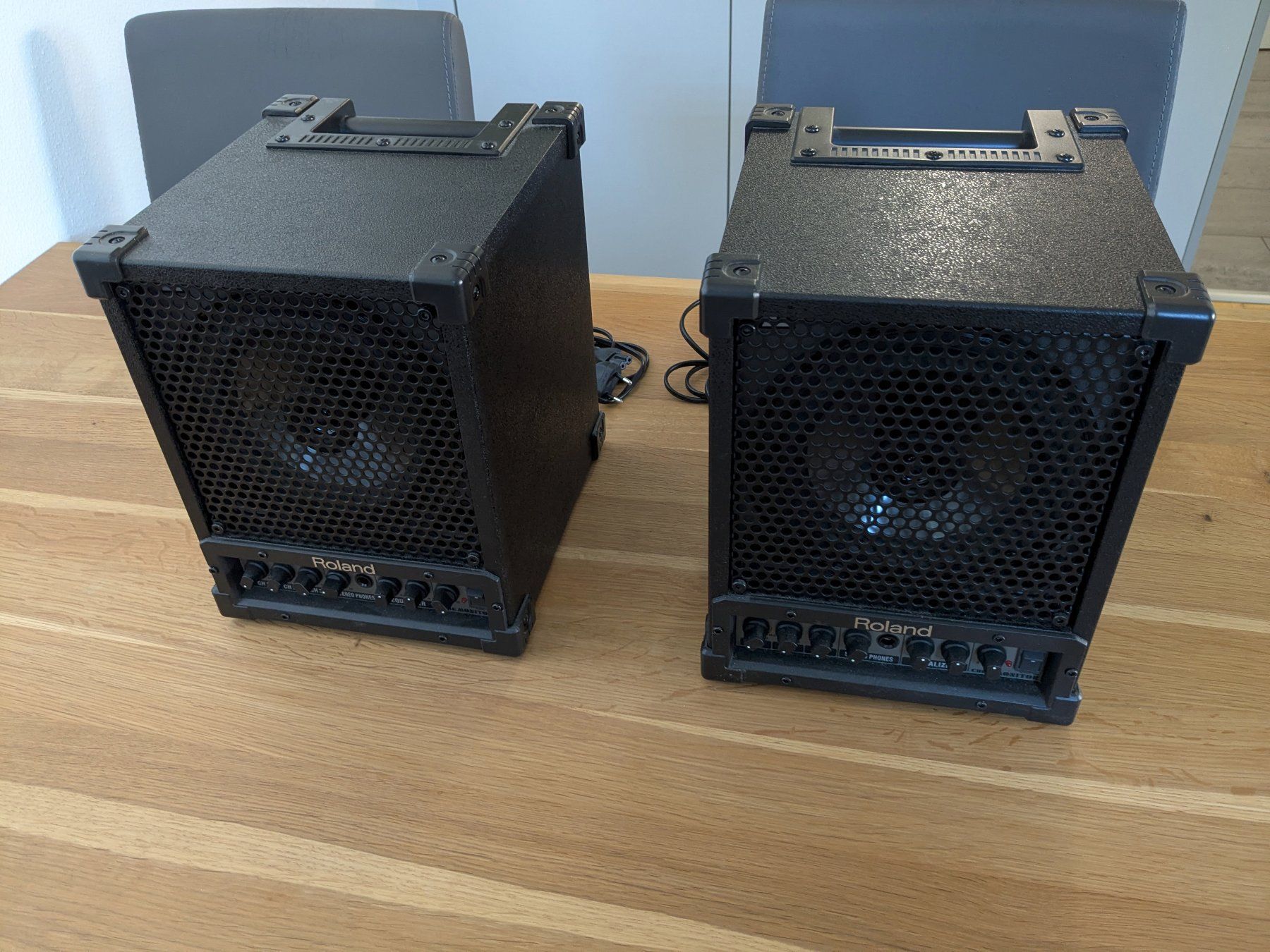 Roland Amplificatori: 2 × Roland CM-30 PA – Nuovo (secondo la descrizione) da Horgen venduto da pat_czw8