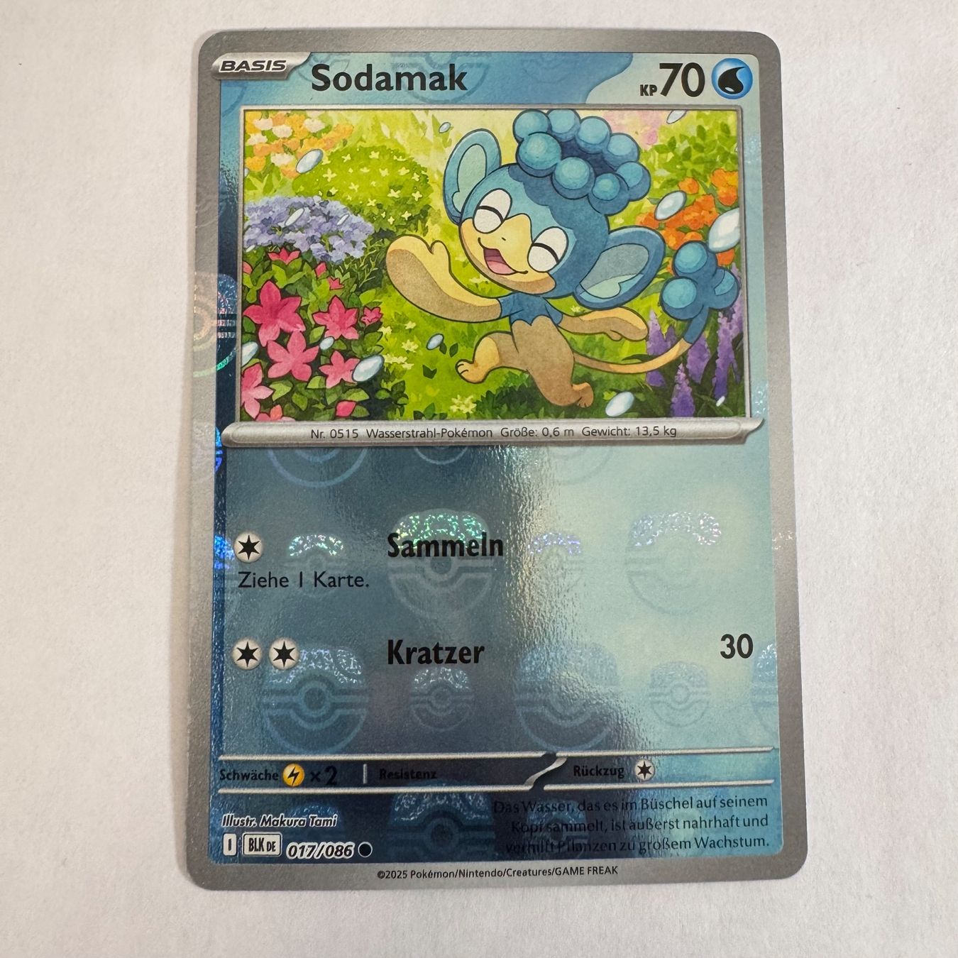 Pokémon Carte collezionabili: Pokémon BLK - Sodamak - 17 / 86 MasterBall - DE – Nuovo (secondo la descrizione) da Staad SG venduto da miaCards