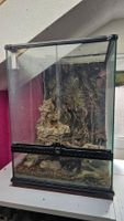 Exo Terra Glas Terrarium 45x45x60