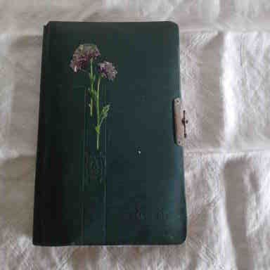 Album: Poesie oder Erinnerungsalbum von 1914 – Usato da Abtwil SG venduto da luupsy