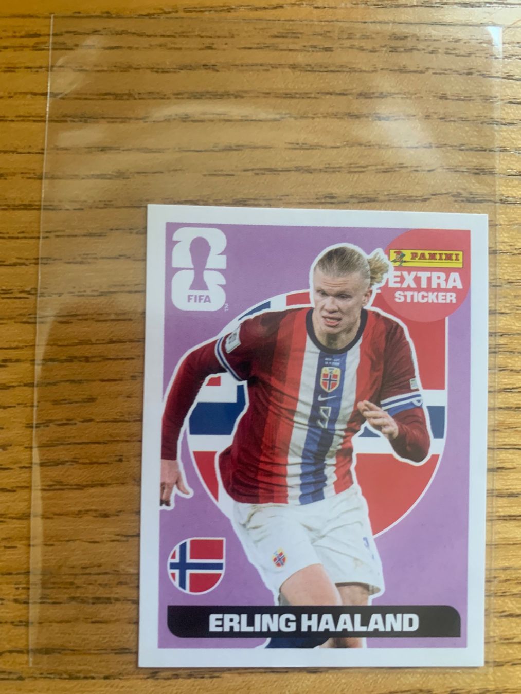 Panini Cartes à collectionner: Panini Extra Sticker Erling Haaland pink – D'occasion à Zürich par Kasza 1