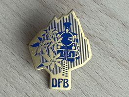 Pin DFB