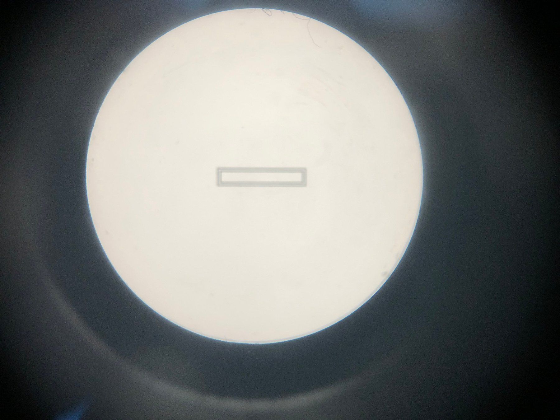 Laboratorio & Camera oscura: Micromega Fokusierhilfe – Usato da Riehen venduto da flohropax 5
