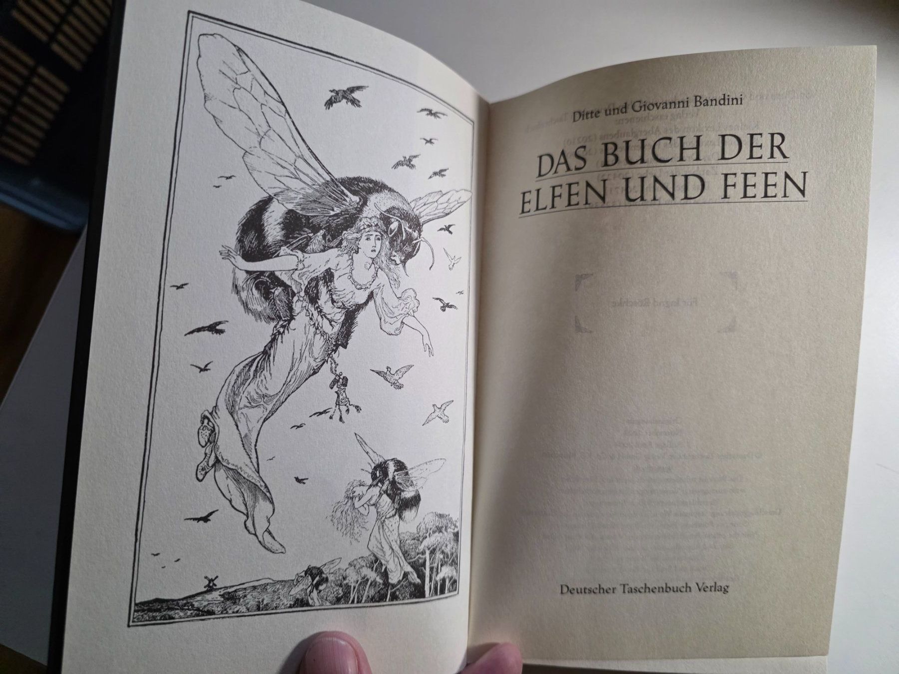Libri: Das Buch der Elfen und Feen - Ditte Giovanni Bandini - 2004 – Usato da Walterswil BE venduto da Lonitti 3