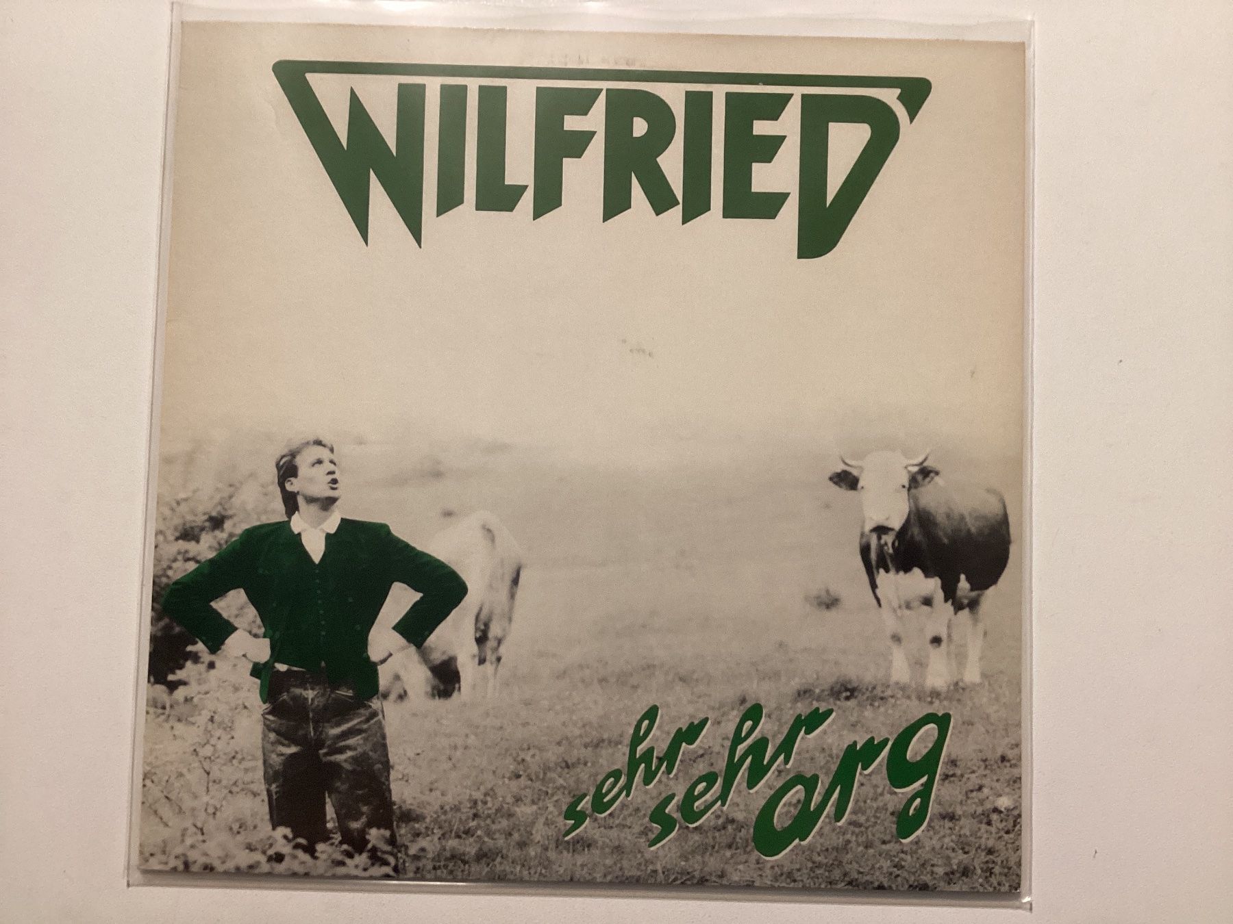 Dischi in vinile: Wilfried LP - Sehr Sehr Arg – Usato da Gutenswil venduto da Hamzian