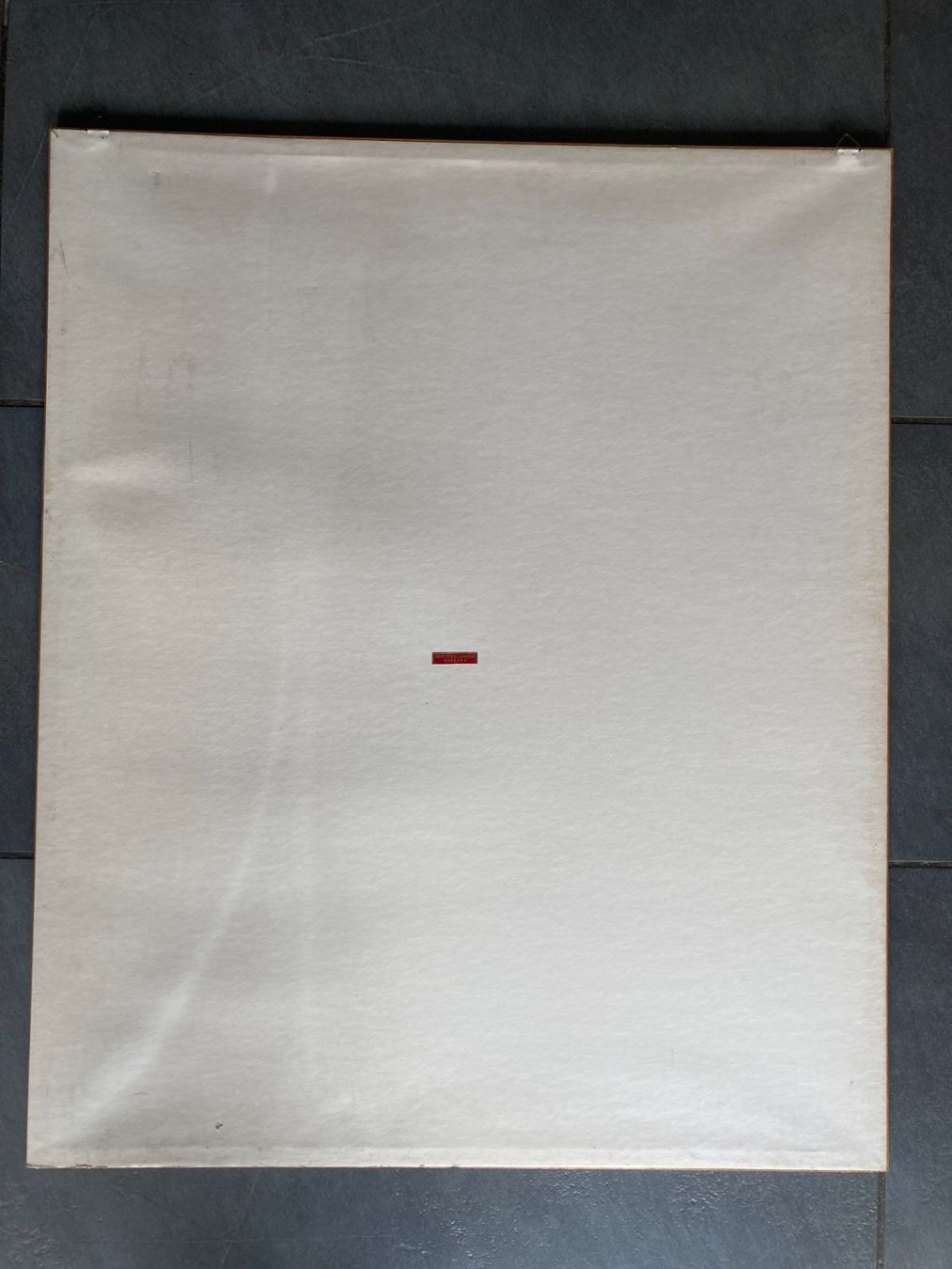 Foto & Immagini: Fritz Hug  Kunstdruck  Papageien  Ara – Usato da Subingen venduto da ArtBead 5