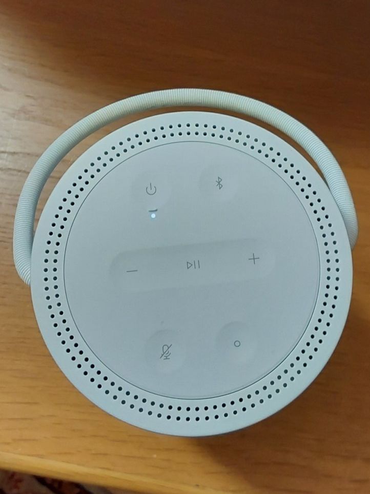 Bose Casse acustiche: Bose Portable Smart Speaker – Usato da Basadingen venduto da Dant 2