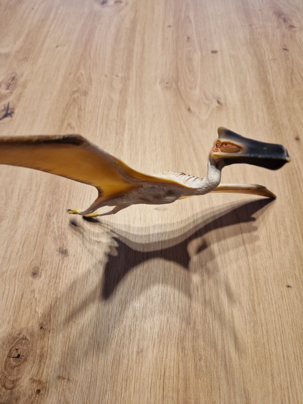 Schleich Spielzeuge: Zu Verkaufen Flugsaurier – Gebraucht aus Niederönz von nydi65 2