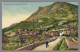 ca. 1915, VIGANELLO, VEDUTA VERO LA CHIESA DI PAZZALINO, *