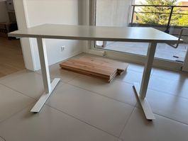 IKEA TROTTEN Schreibtisch 120x70 cm (höhenverstellbar)