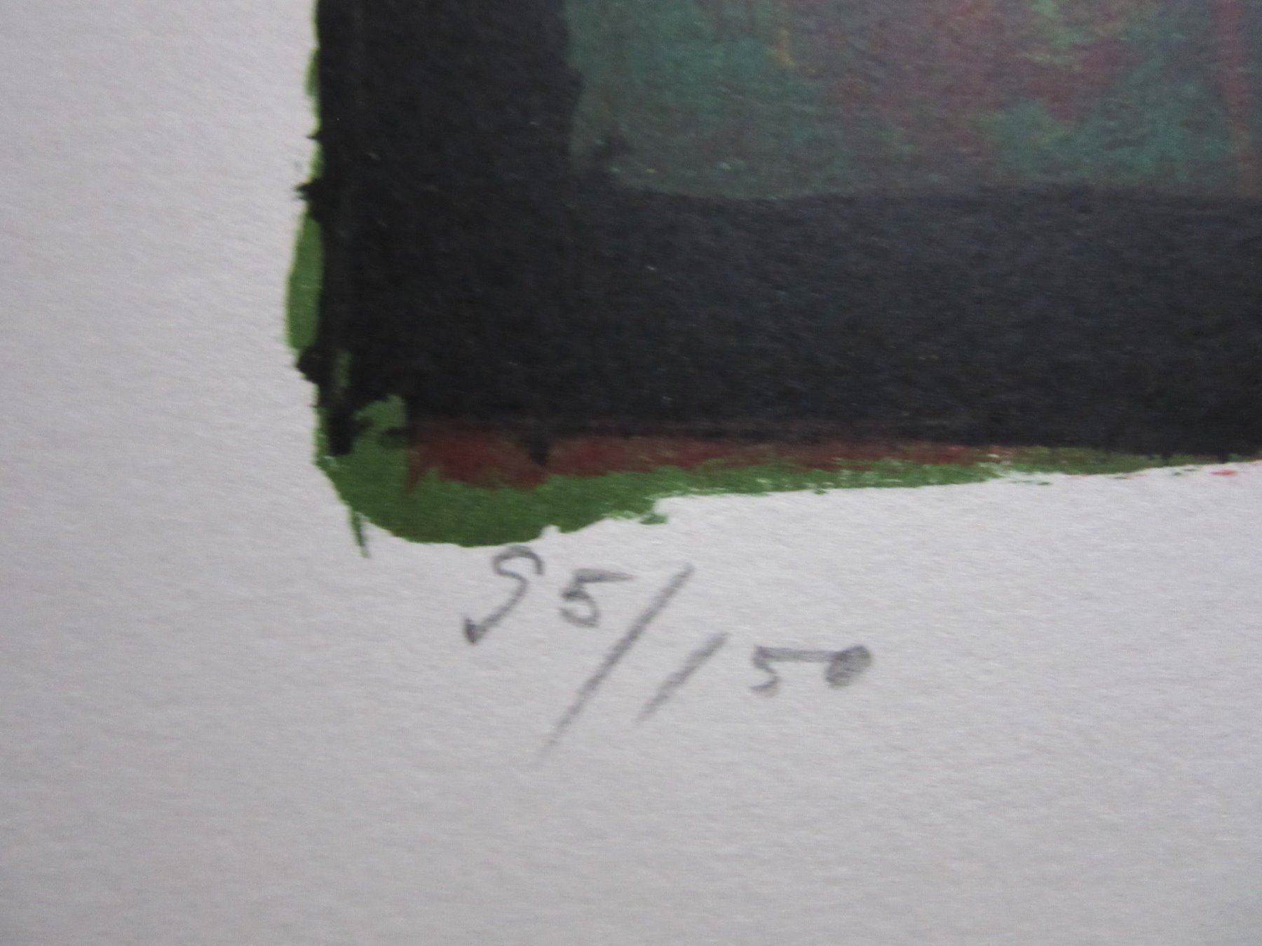 Grafica & Litografie: HANS FORSTER LITHOGRAPHIE SIGNIERT NUMMERIERT – Usato da Gersau venduto da grafik-kunst 2