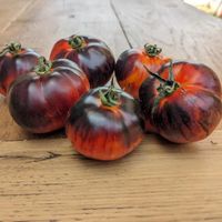 Königin der Nacht - Fleischtomate - 20 Samen