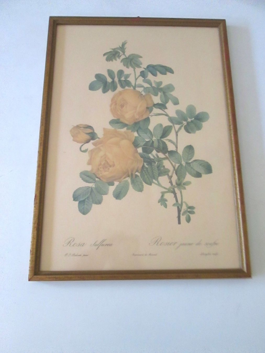 Foto & Immagini: 2 Vintage-Bild (Papier) – Usato da Sementina venduto da babucia 2