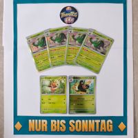 🌰 Chesnaught (Brigaron) Komplette Linie! (5xHolo) [EN] *NM*