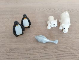 Duplo