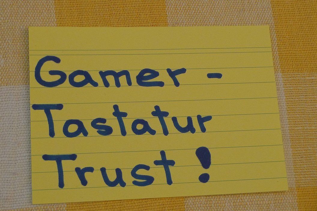 Trust Tastaturen: Gamer-Tastatur Trust! – Gebraucht aus Bern von bn1640 8