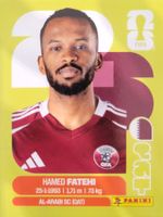 Panini FIFA World Cup QAT 12