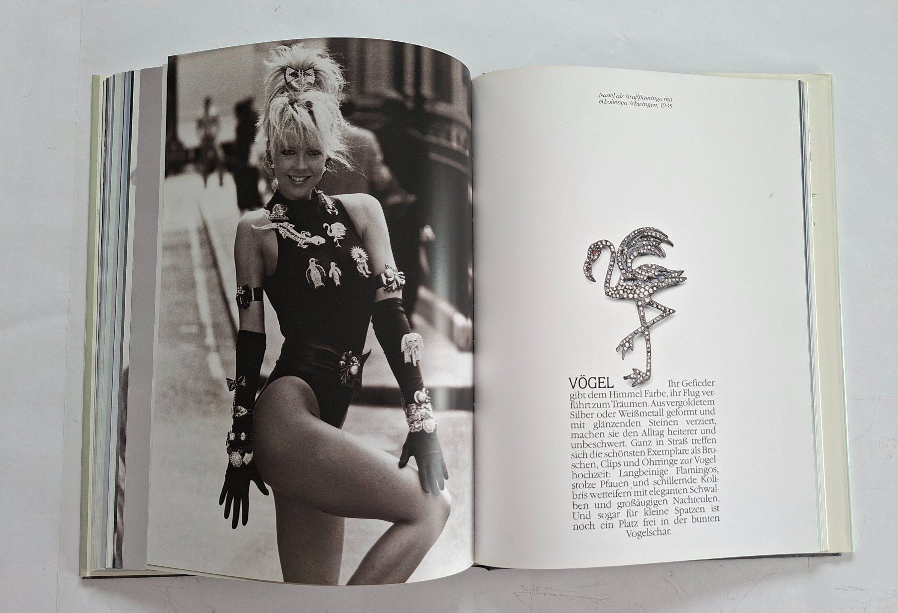 Bücher: Strass Modeschmuck Buch, Gabriele Greindl, mit Schuber – Gebraucht aus Opfikon von Diversamente 8