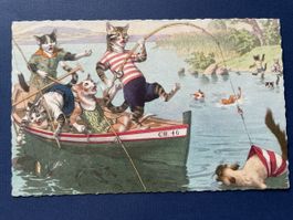 Vintage Postkarte: "Katzen beim Fischen", Rarität! 1962
