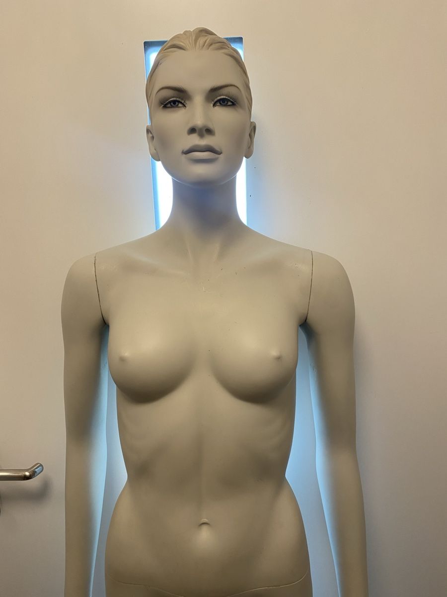 Altro in Decorazioni & Accessori: Schaufenster Puppe – Usato da Lengnau BE venduto da most45 1