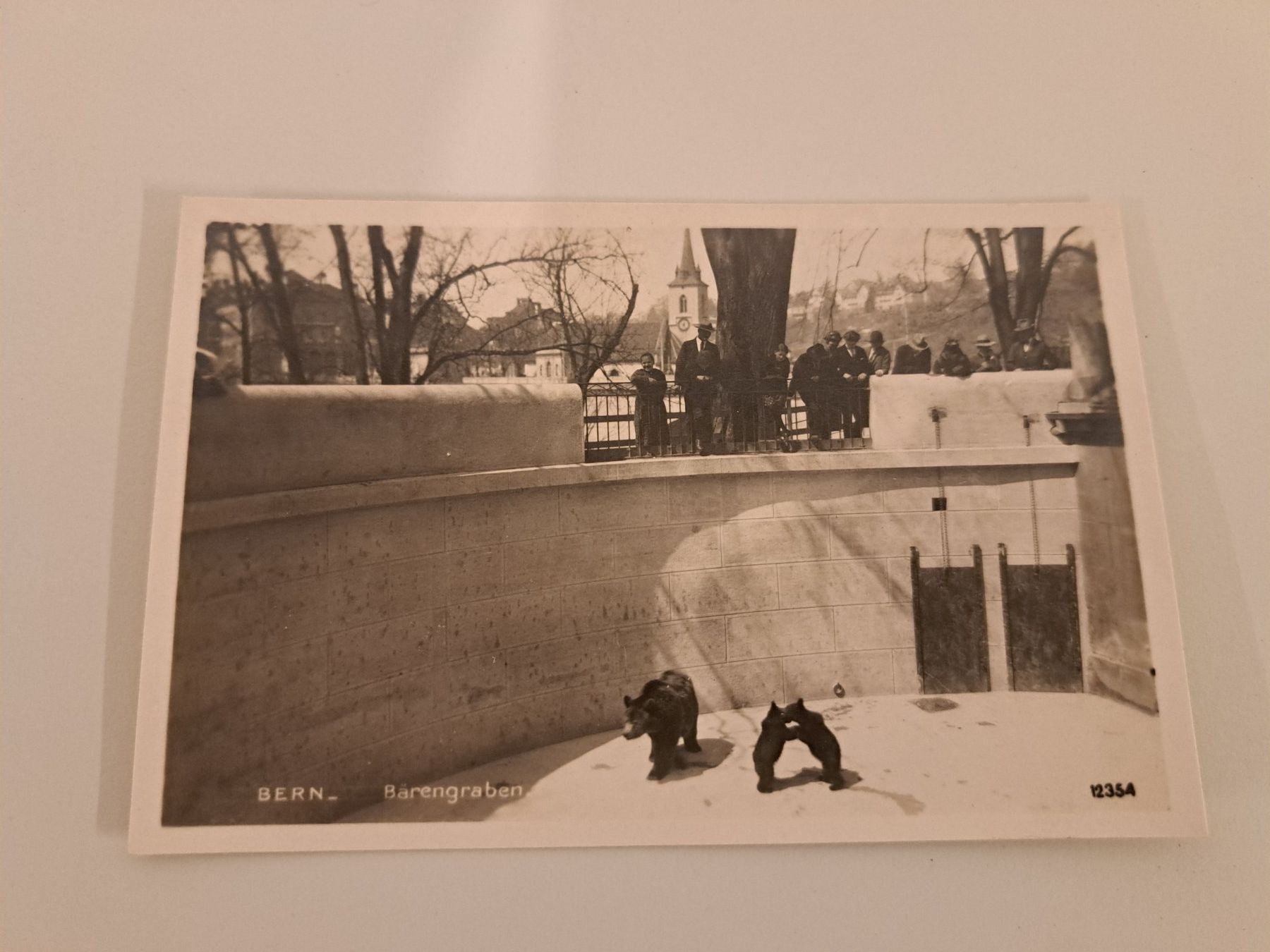 Cartoline postali: Ansichtskarte/ Bärengraben Bern/ AK Postkarte – Usato da Belp venduto da deal-now
