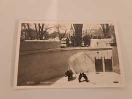 Ansichtskarte/ Bärengraben Bern/ AK Postkarte