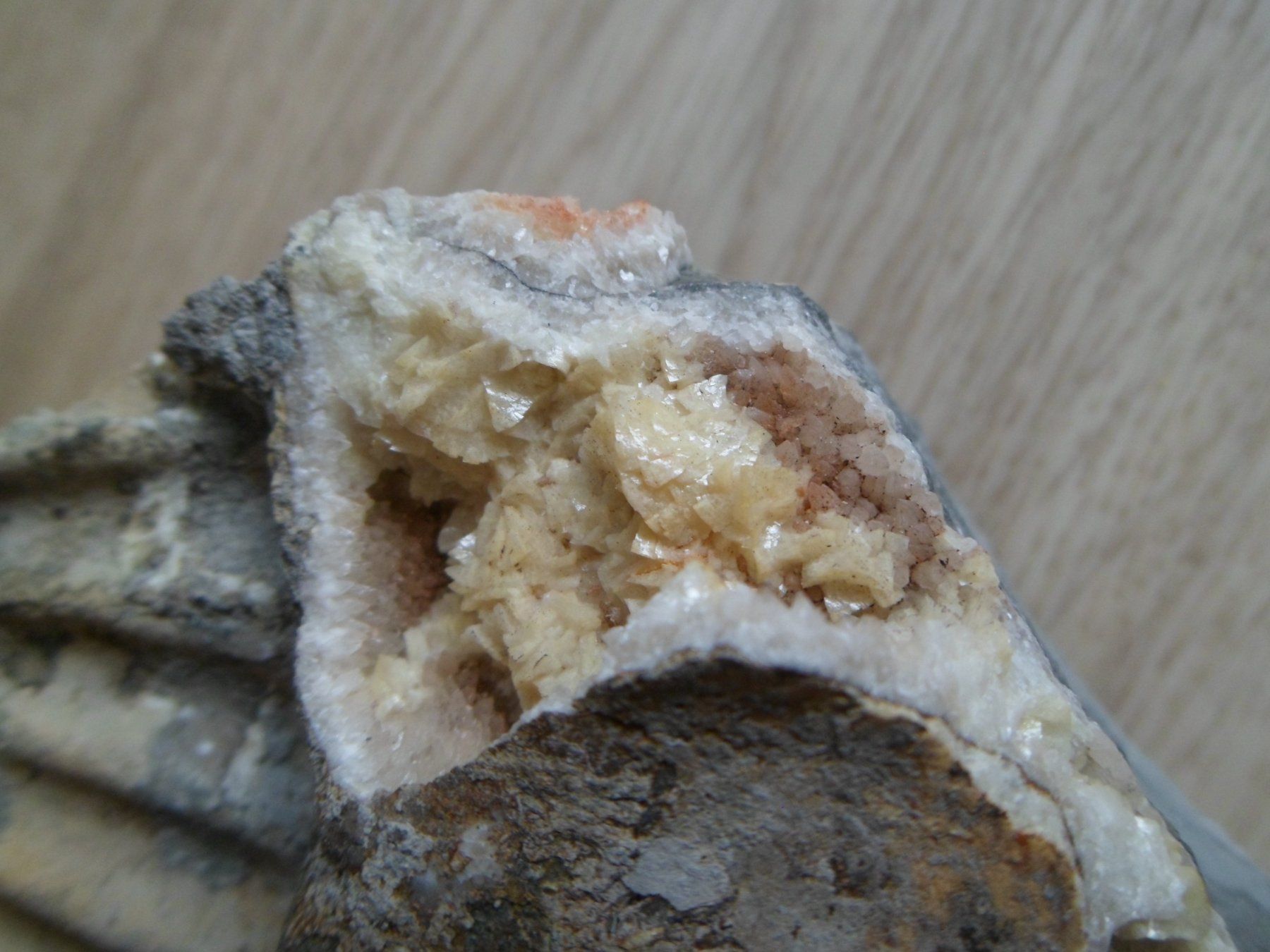 Fossilien: Calcit + Ankerit / Dolomit Schweiz – Gebraucht aus Affoltern am Albis von Fossil60 1