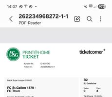 FC SG Ticket B2 gegen Thun